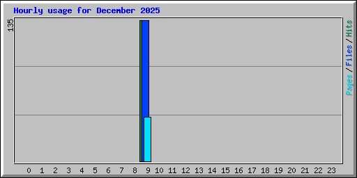Hourly usage for December 2025