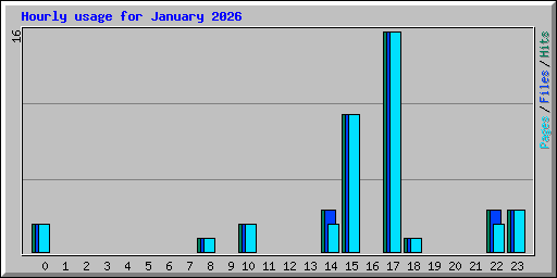 Hourly usage for January 2026