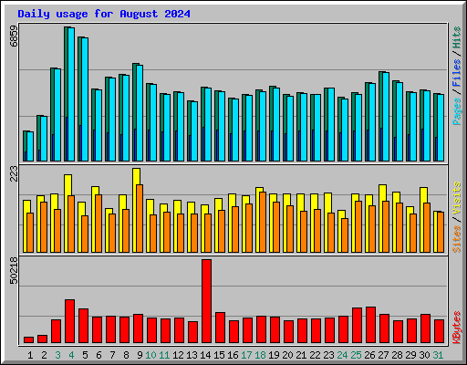 Daily usage for August 2024