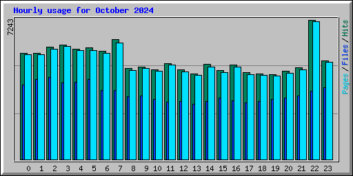Hourly usage for October 2024