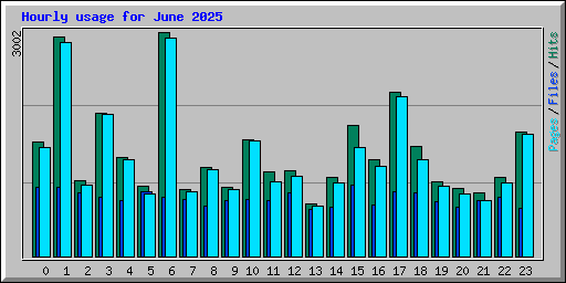 Hourly usage for June 2025