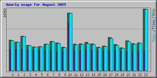 Hourly usage for August 2025