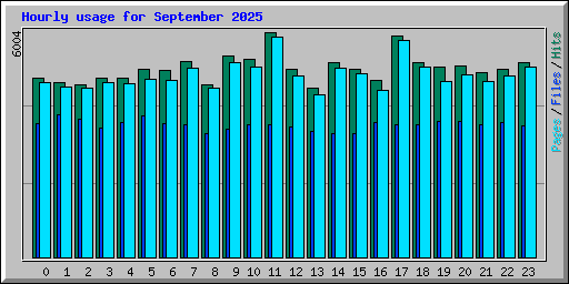 Hourly usage for September 2025