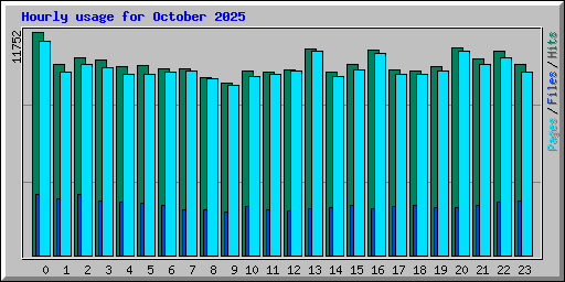 Hourly usage for October 2025