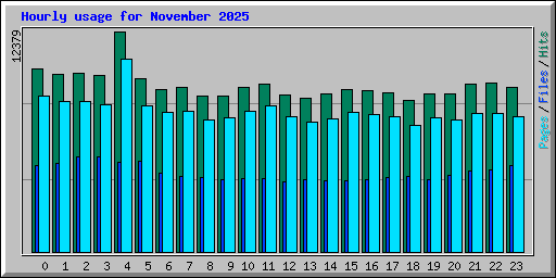 Hourly usage for November 2025