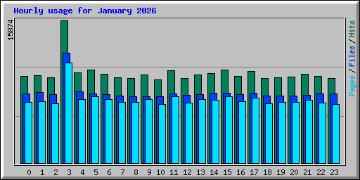 Hourly usage for January 2026