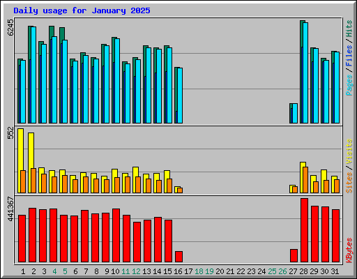 Daily usage for January 2025