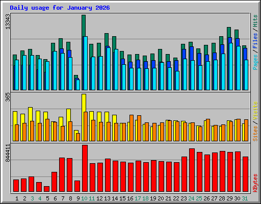 Daily usage for January 2026