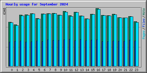 Hourly usage for September 2024