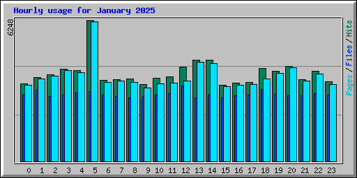 Hourly usage for January 2025