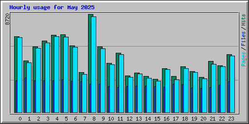 Hourly usage for May 2025