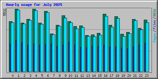Hourly usage for July 2025