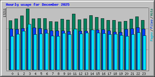 Hourly usage for December 2025