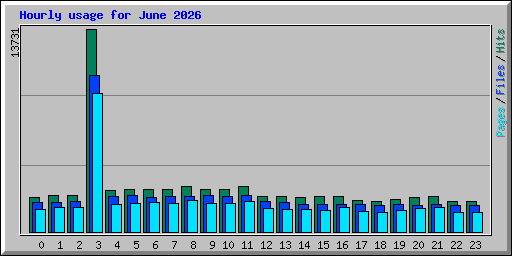 Hourly usage for June 2026